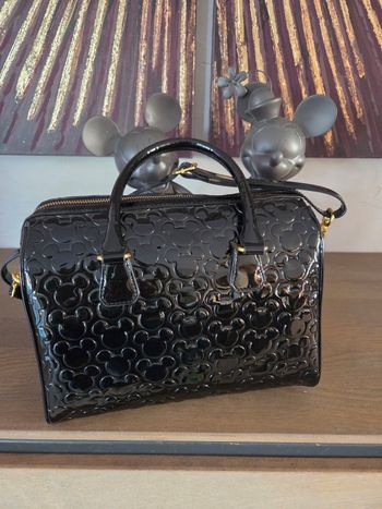 Sac vernis disneyland 