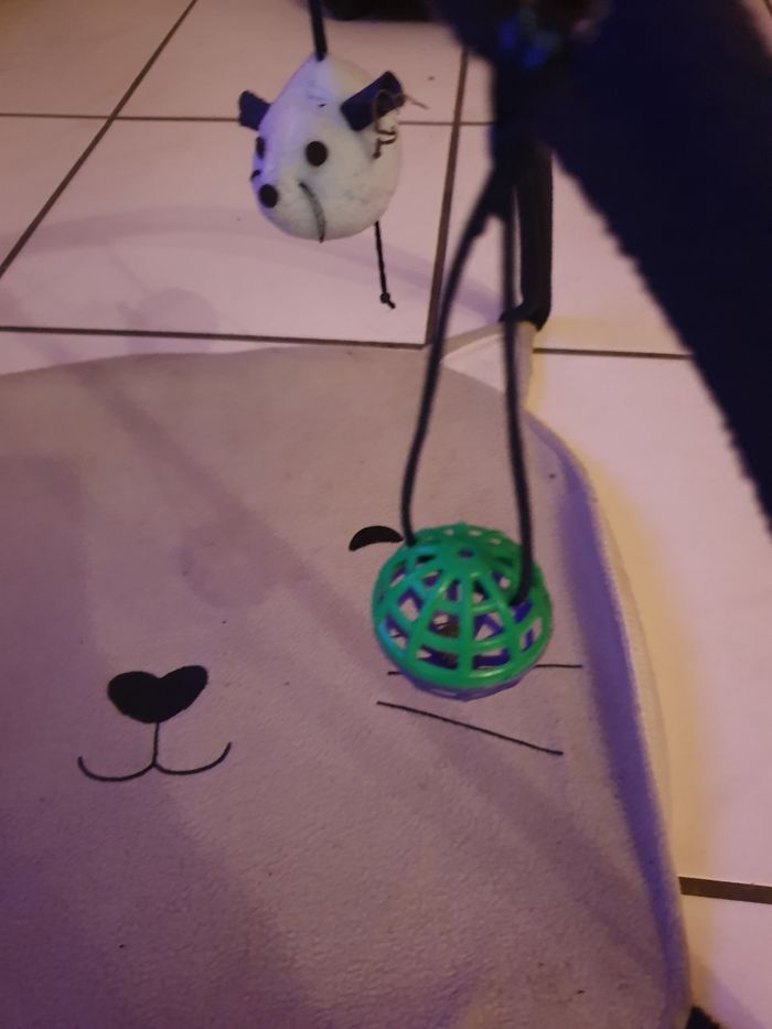 Jouet pour chat - photo numéro 2
