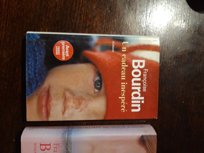 Lot 2 livres Françoise bourdin - photo numéro 2