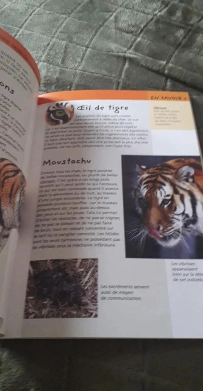 Superbe lot d' ouvrages animalier / Le Tigre / L' éléphant / Jeunesse. - photo numéro 13
