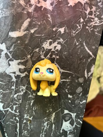 LPS dog