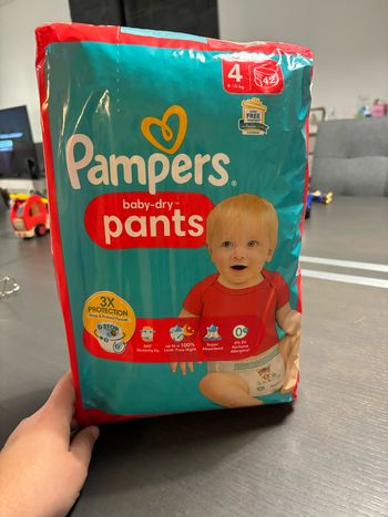 Pampers baby dry pants