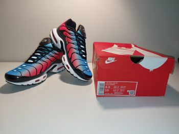TN University Blue Light Crimson