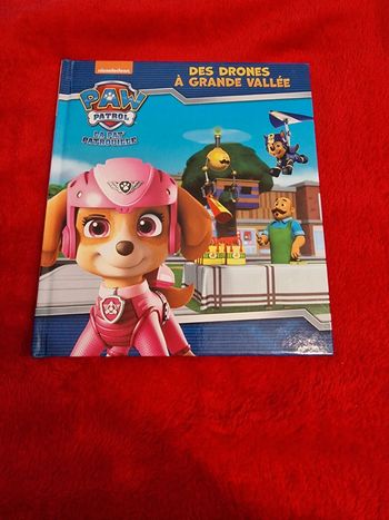 Livre pat patrouille des drones à grande vallée