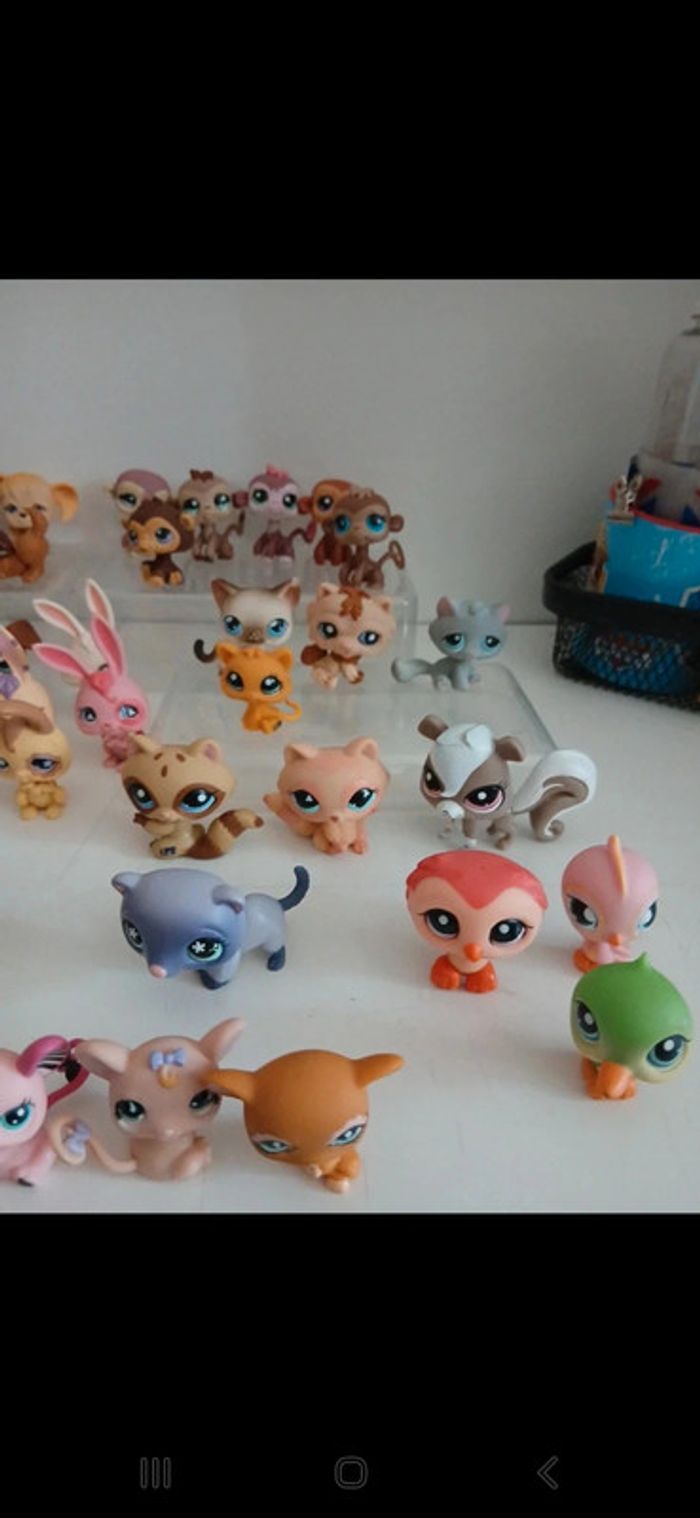 Littlest petshop - photo numéro 5