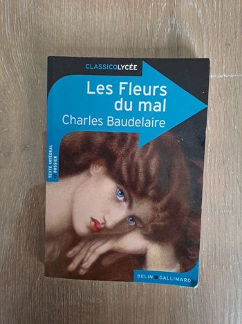 Les fleurs du Mal de Baudelaire