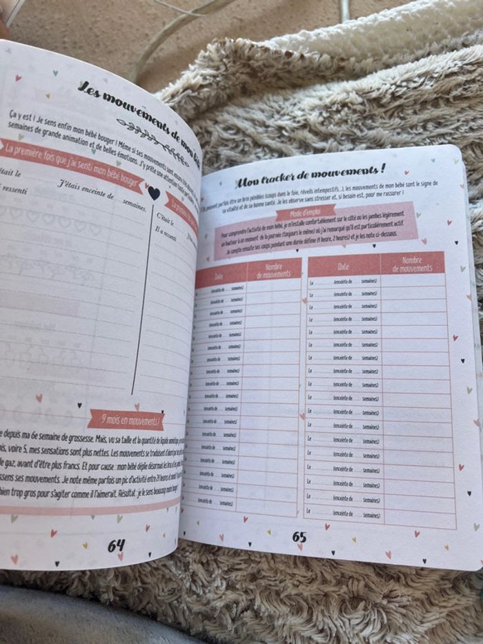 Petit journal de ma grossesse - photo numéro 6