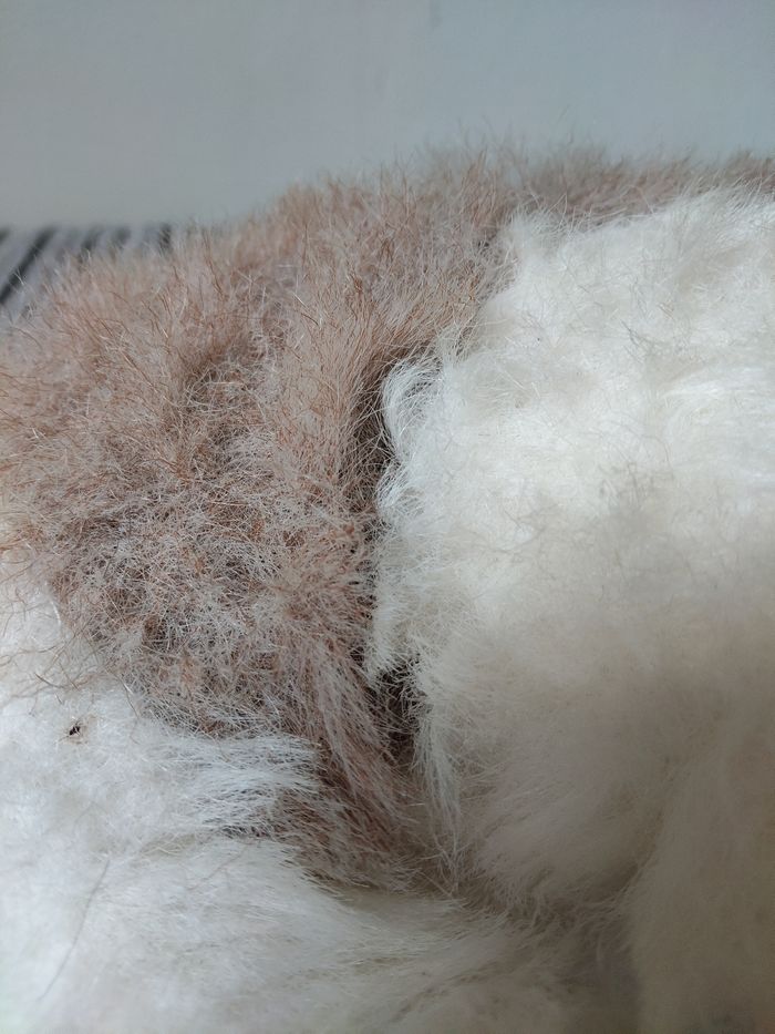 Peluche chien - photo numéro 6