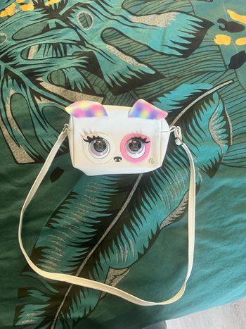 Purse pet sac