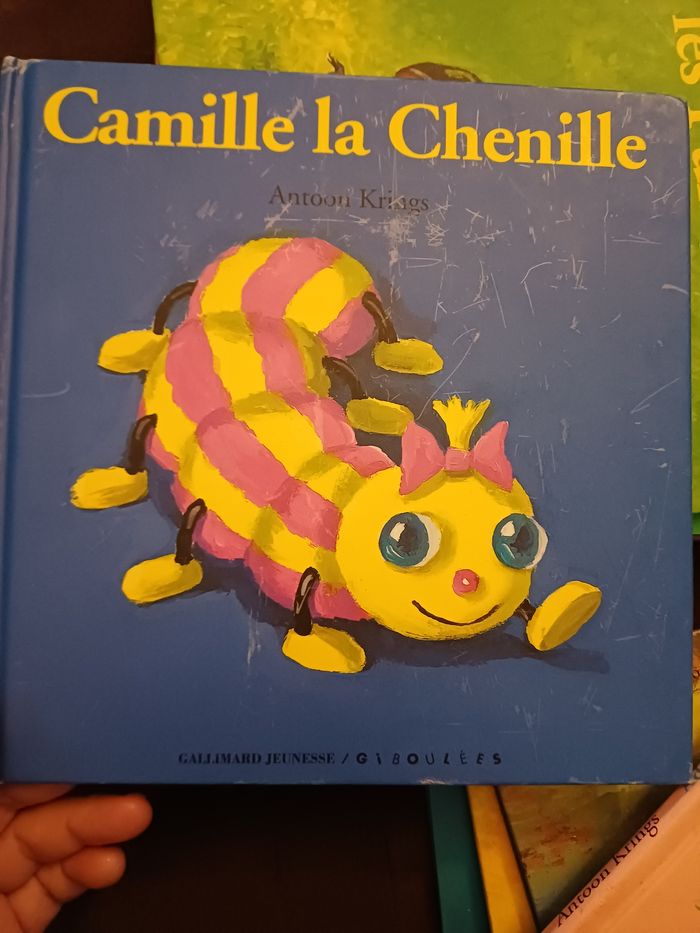 Lots 13 livres9 Antoon Krings - photo numéro 10