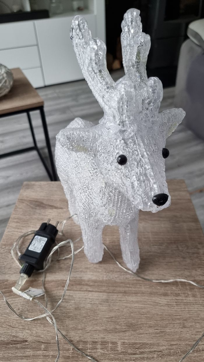 RENNE LUMINEUX - photo numéro 4