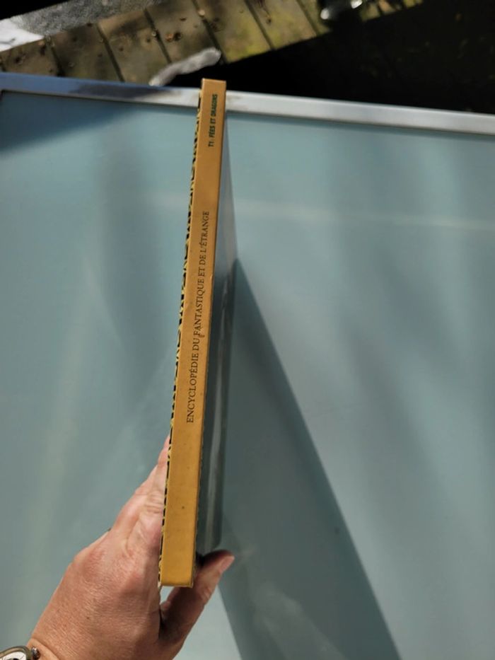 Encyclopédie du Fantastique et de l'Étrange, Tome 1 : Fées et Dragons 🐉 - photo numéro 13