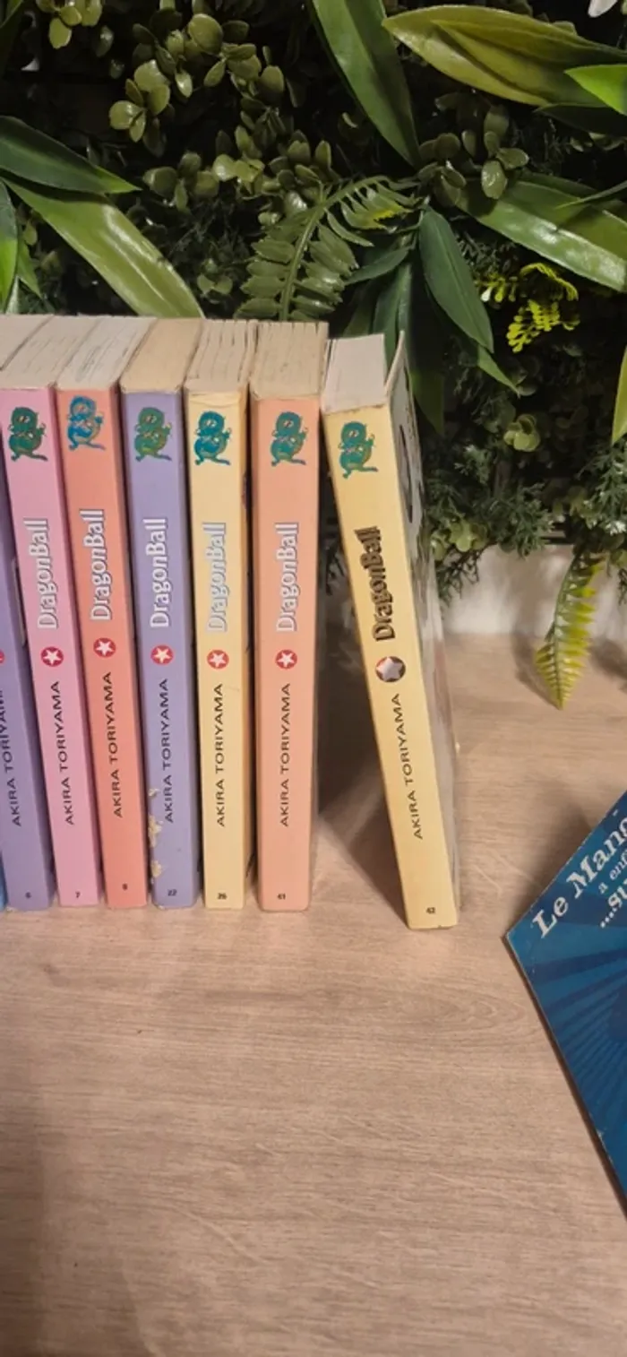 Livre dragon ball - photo numéro 5