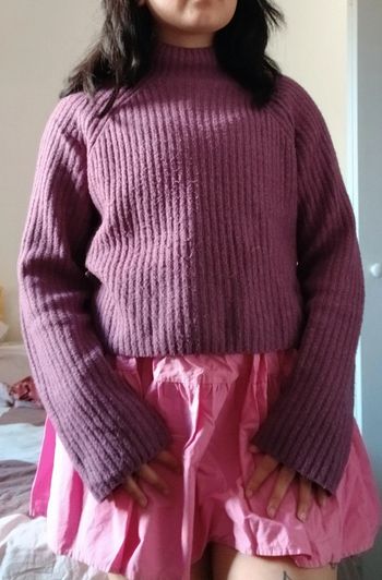 Joli petit pull tricot violet