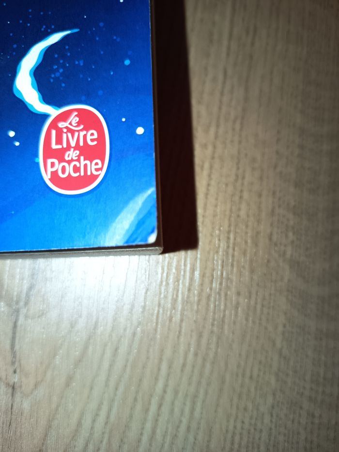 Livre roman, Une belle vie, Virginie Grimaldi - photo numéro 3