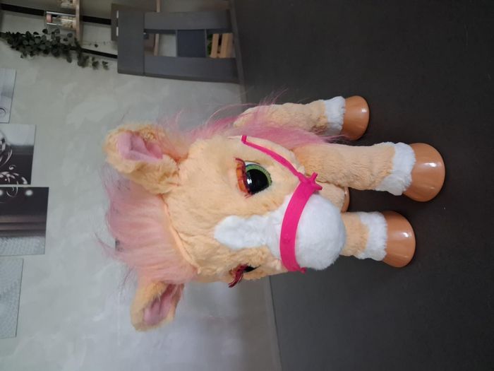 Cannelle mon poney coquet et ses accessoires - photo numéro 4