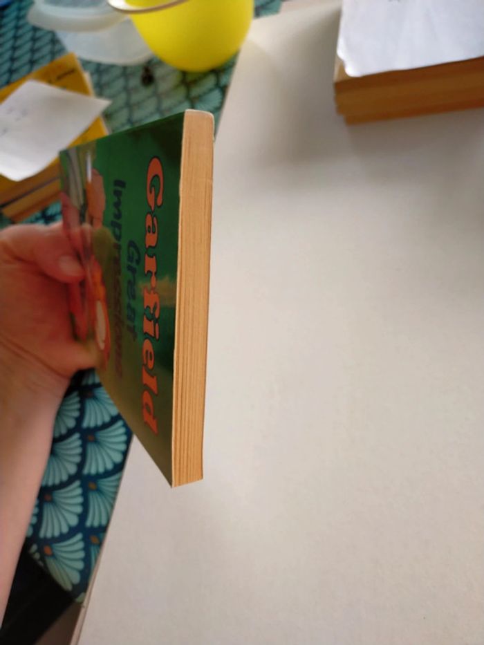 Garfield great impressions - photo numéro 4