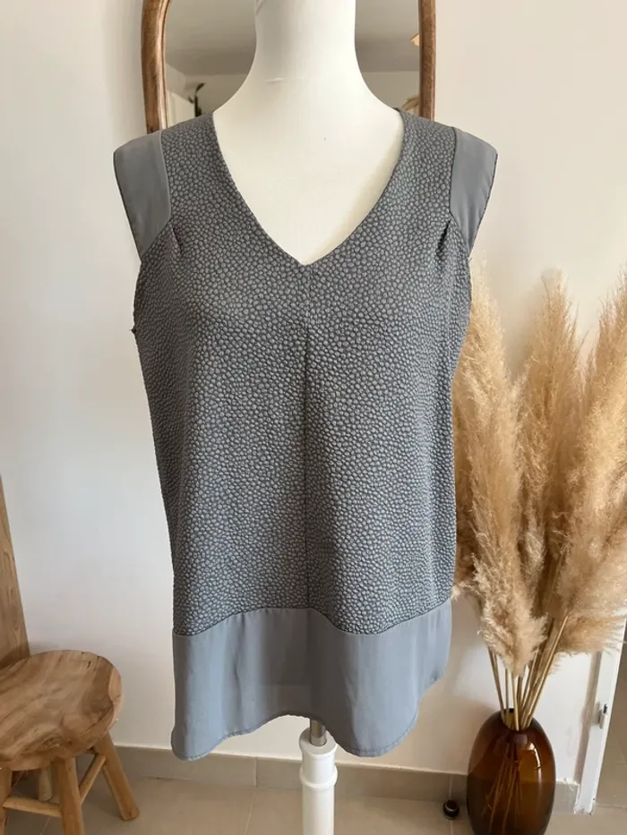 Blouse manches courtes grise Scarlet Roos - photo numéro 4