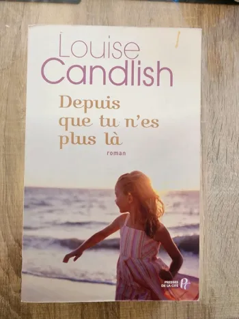 Livre broché "depuis que tu n'es plus là" de Louise Candlish