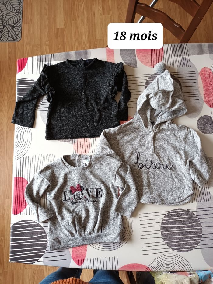 Lot 3 pulls légers Taille 18 mois 👧