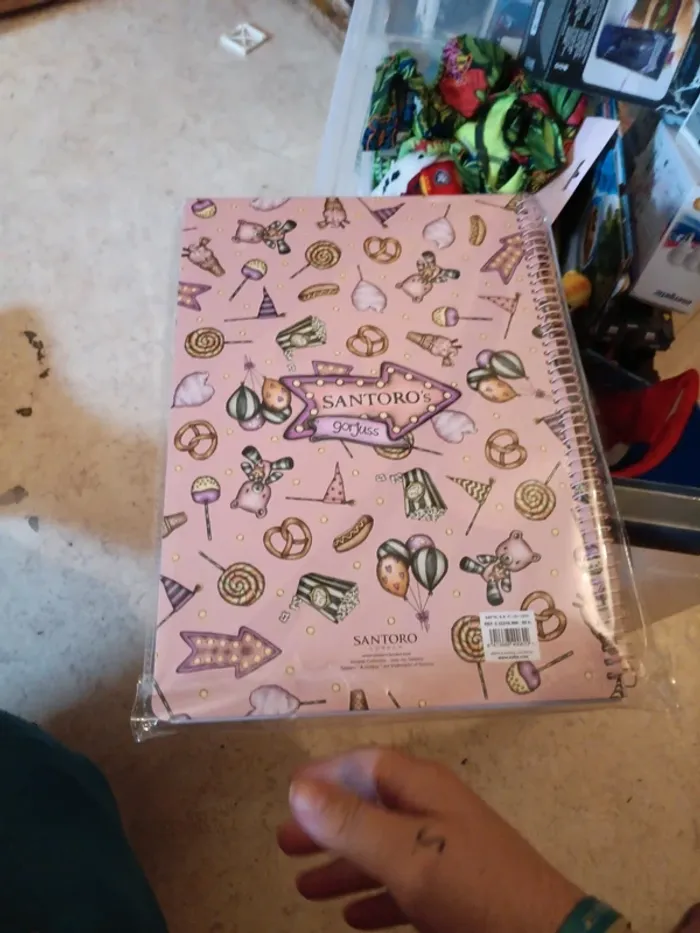 Cahier à spirale petit carreaux santoro gorjuss pas vinted go - photo numéro 3
