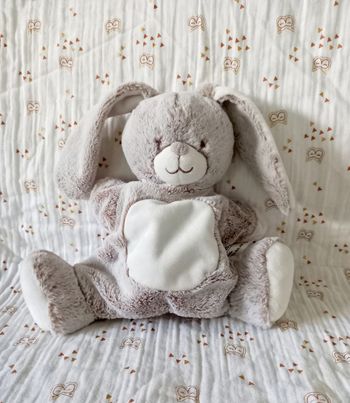 Doudou lapin Tex