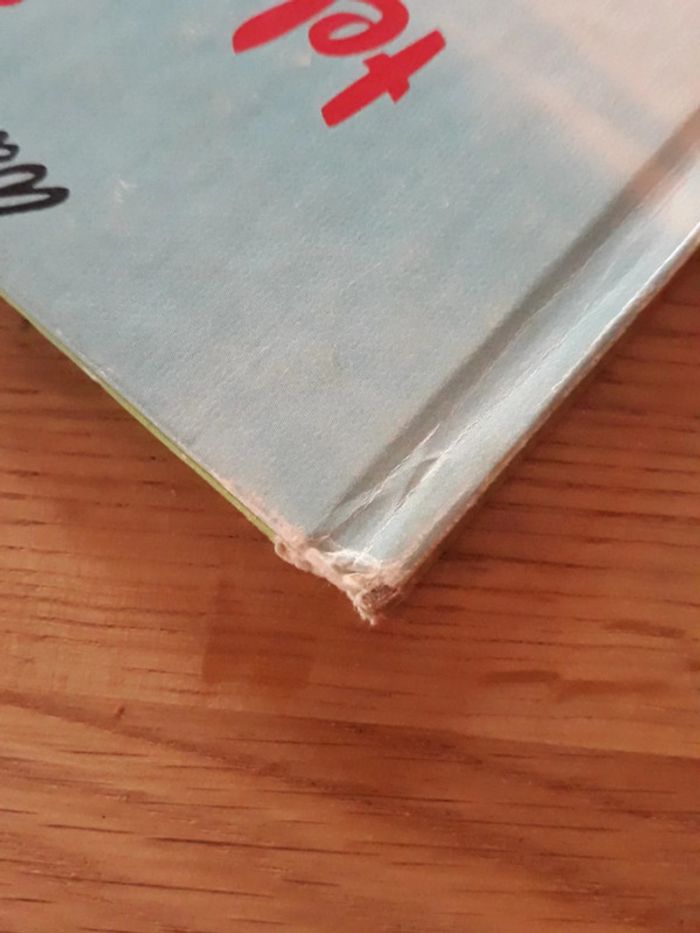 Livre Scamp : tel père, tel fils - photo numéro 10