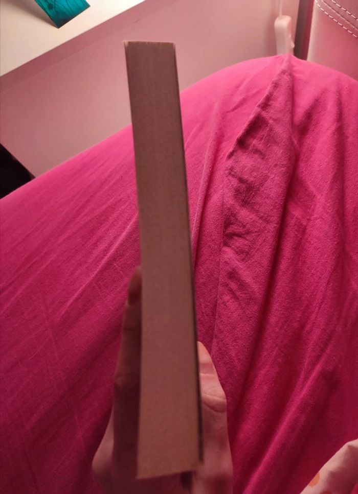 Transférés - photo numéro 4