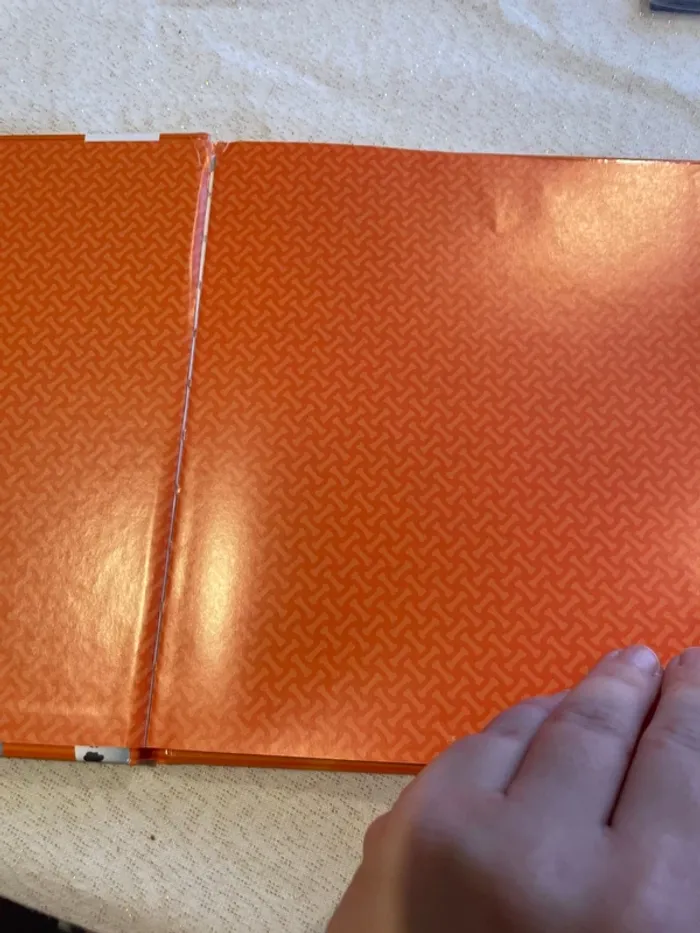 Lot de 2 livres pat patrouille joyeux Halloween et fleurus - photo numéro 3