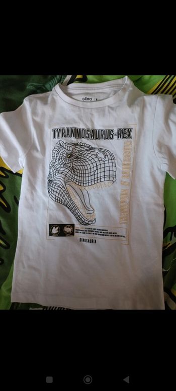 Tee shirt Dino et tee shirt spiderman manches courtes