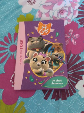 Livre 44 chats. Un chat chanceux