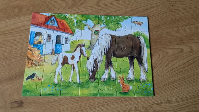 Puzzle 35 pièces - photo numéro 3