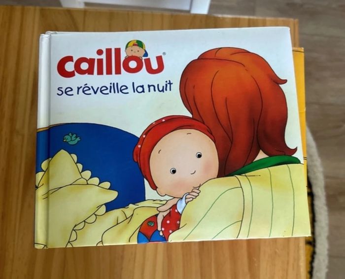 Lot de 10 livres - photo numéro 10