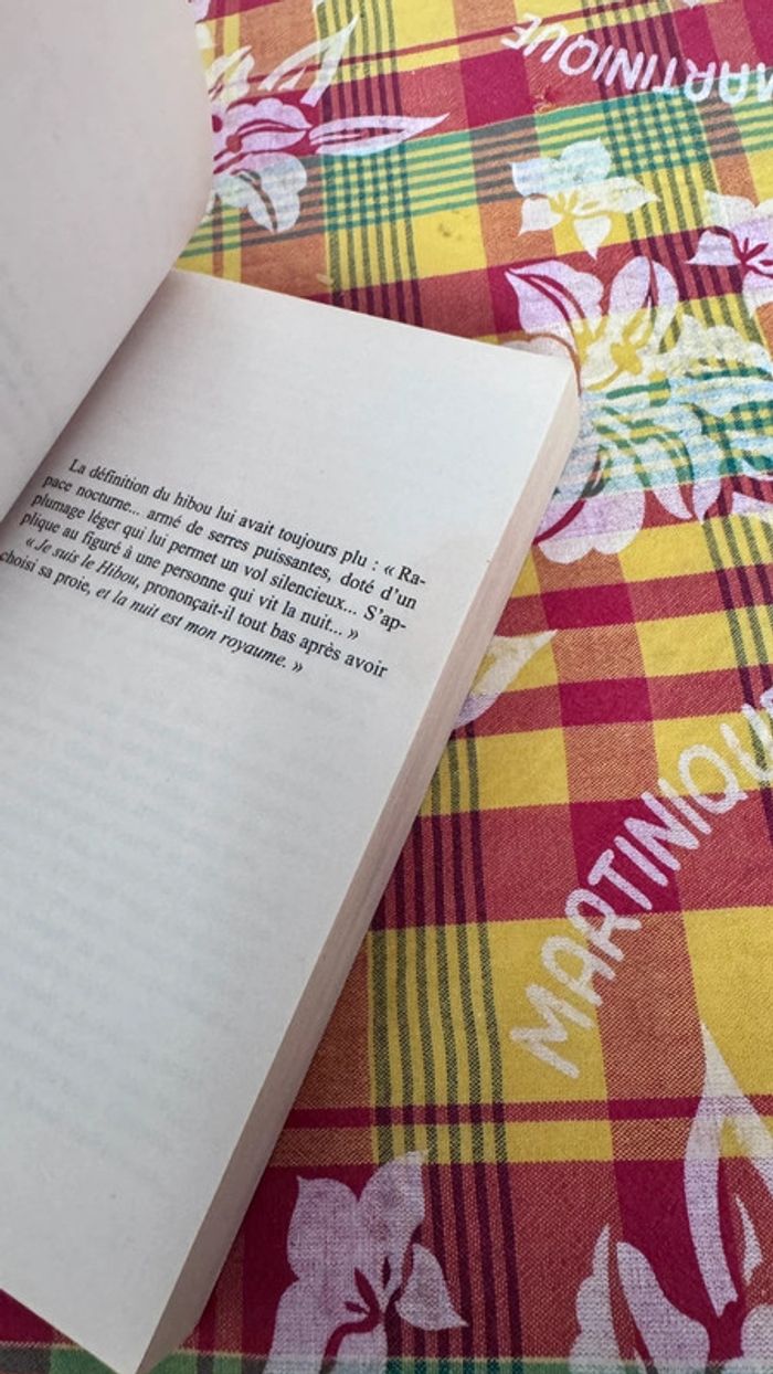 Suspense garanti - La nuit est mon royaume de Mary Higgins Clark - photo numéro 5