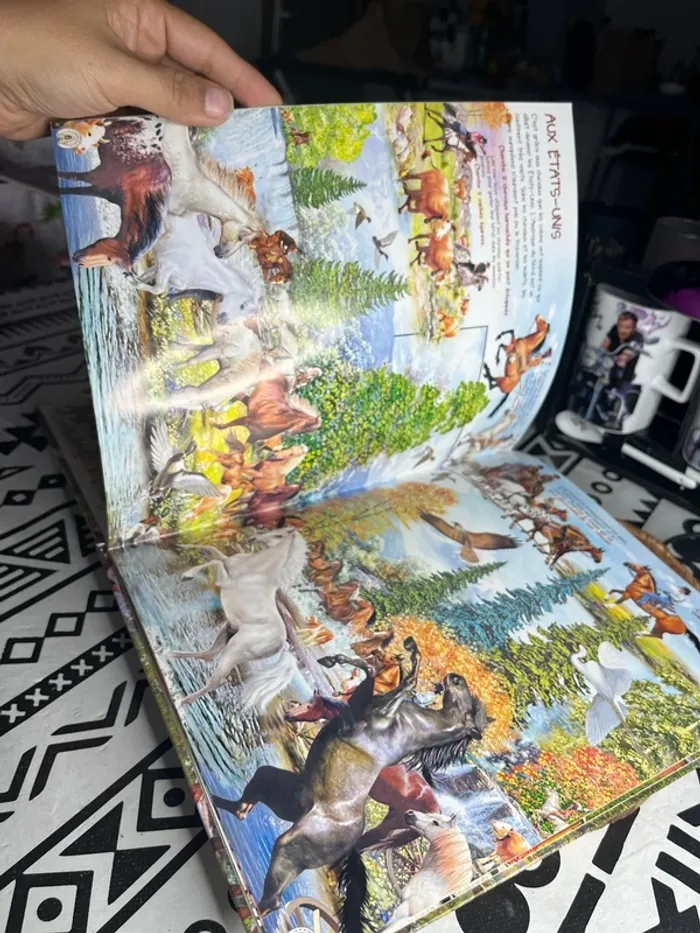 Livre Observe les chevaux - photo numéro 4