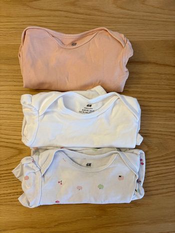 Lot 3 bodies 
