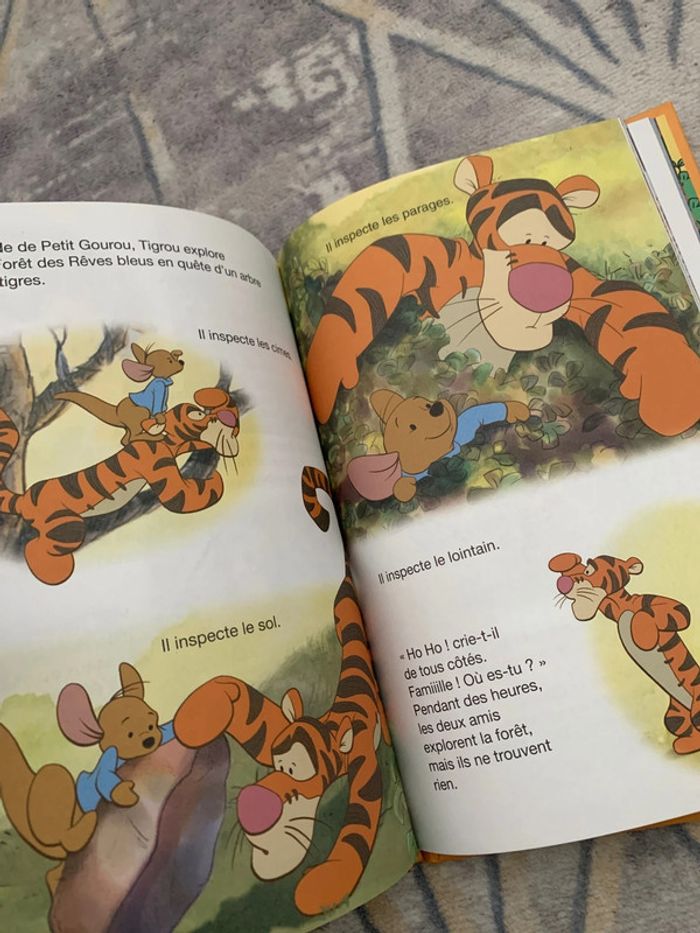 Lot livres 2 - photo numéro 12