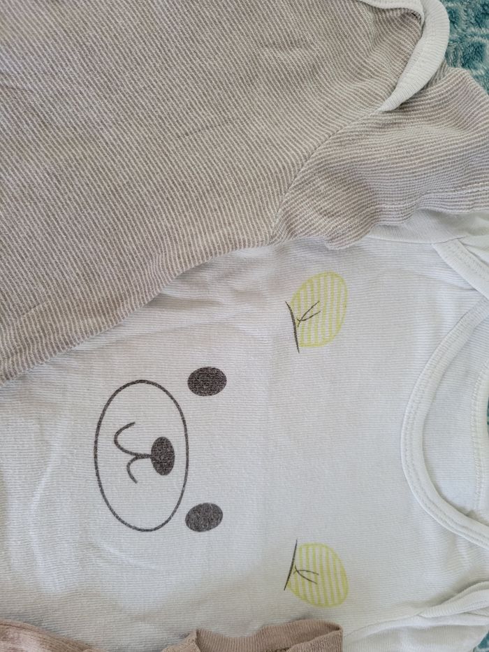 Lot 4 bodys manches courtes 18mois - photo numéro 2