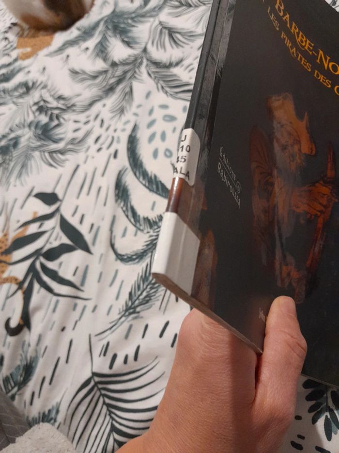 Barbe-Noire et les pirates des caraïbes - photo numéro 13