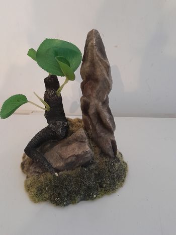 Décoration pour aquarium