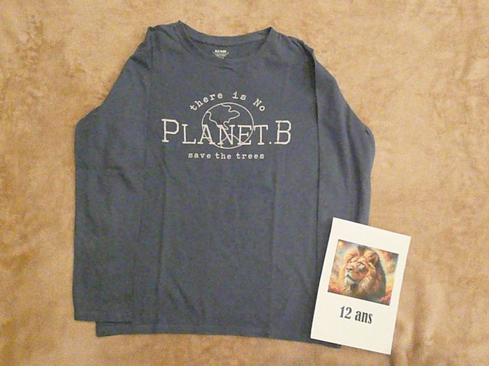 Lot de 2 tee-shirts 12 ans (n°5) - photo numéro 3