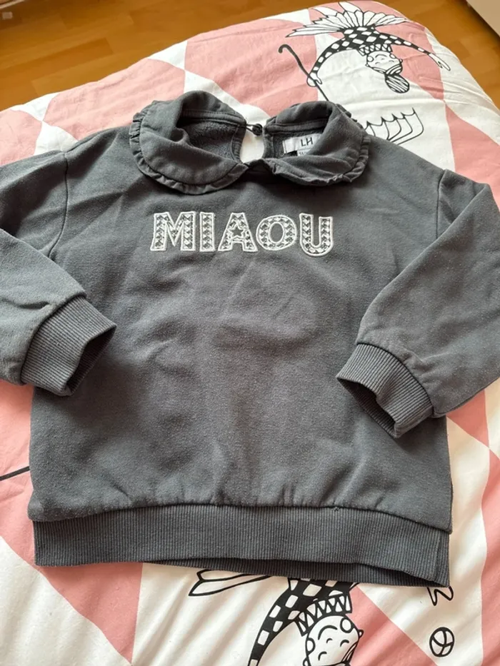 Pull miaou
