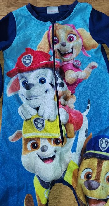Paw patrol