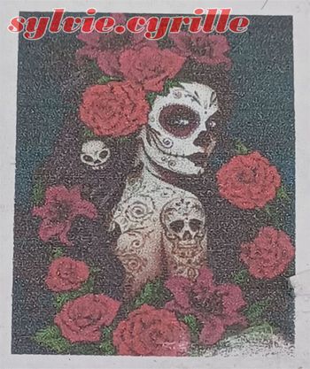 Diamond Painting 40×50 fille au crâne rond