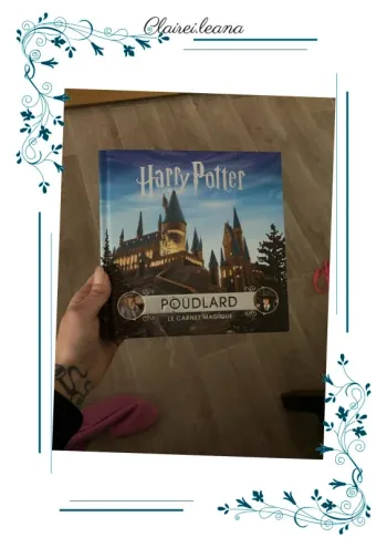 🛑livre Harry potter 🛑 le carnet magique
