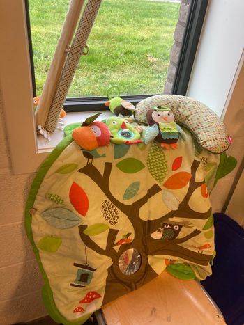 Tapis de jeu avec arche Skip Hop Forêt