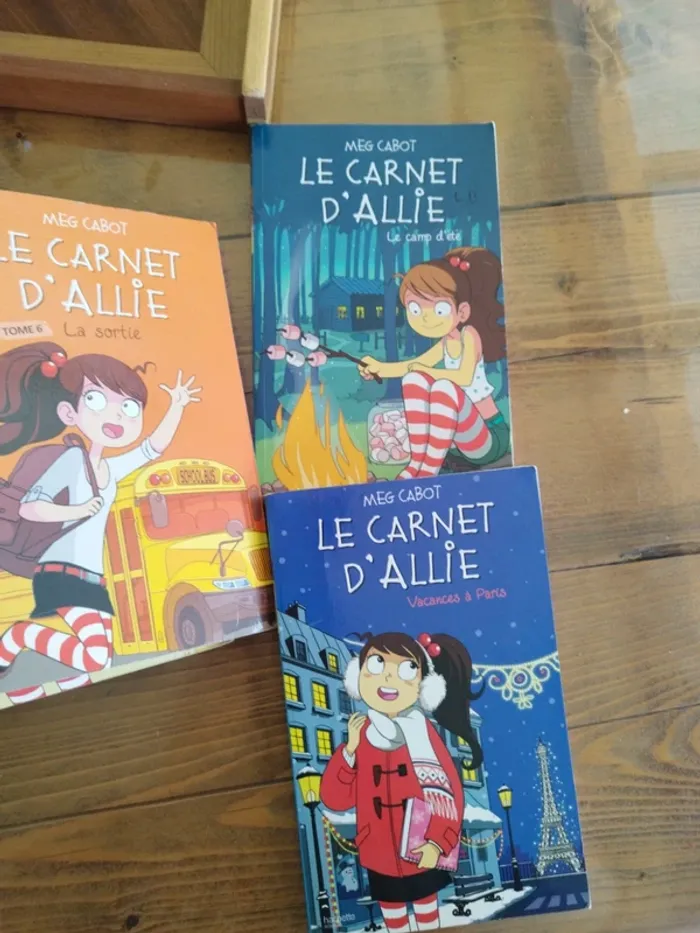 Lot le carnet d'Allie - photo numéro 3