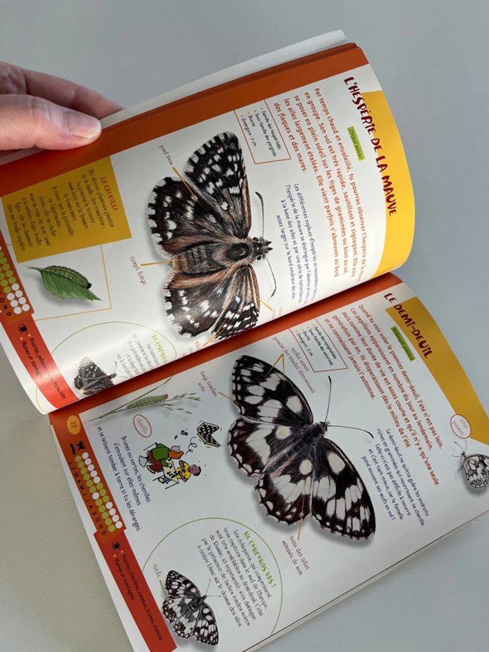 Les papillons - photo numéro 2