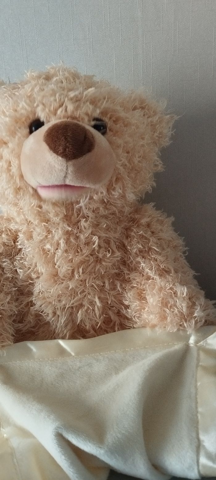 Peluche ours cache cache. - photo numéro 5