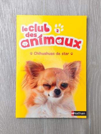 Le club des animaux ; chihuahuas de star